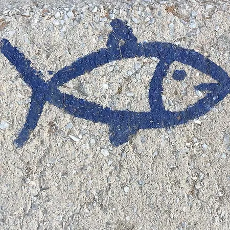 Asteras By Paou Сasa de vacaciones Argalasti